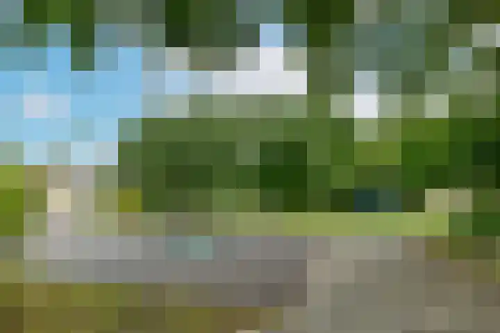 De Uitvlugt 55 Amstelveen thumbnail 20