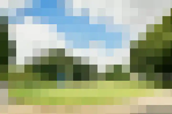 De Uitvlugt 55 Amstelveen thumbnail 21