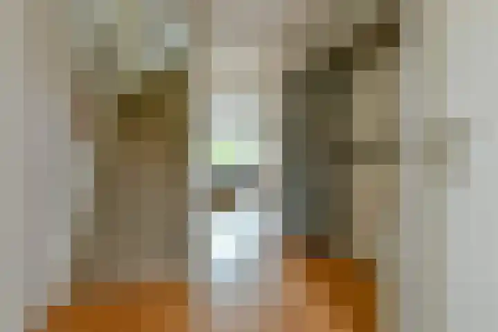 De Uitvlugt 55 Amstelveen thumbnail 4