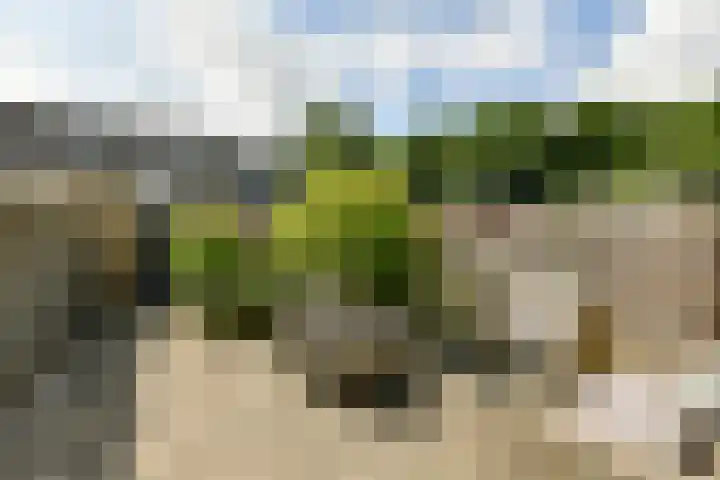 De Uitvlugt 55 Amstelveen thumbnail 8