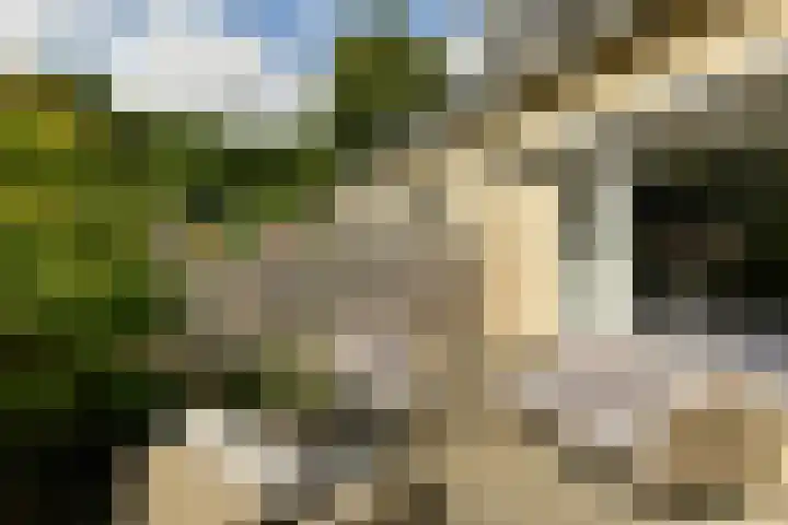 De Uitvlugt 55 Amstelveen thumbnail 9