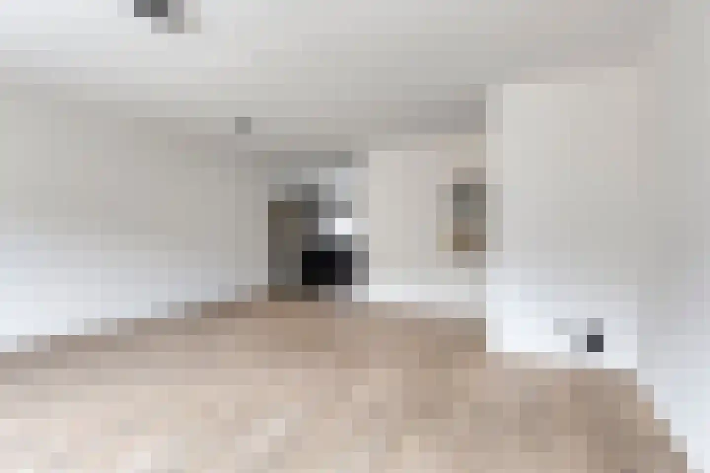 De Uitvlugt 59 Amstelveen thumbnail 5
