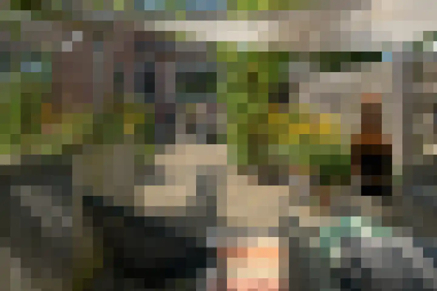 De Ulekamp 137 Joure thumbnail 24