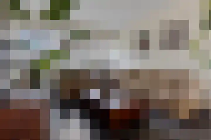 De Ulekamp 29 Joure thumbnail 15