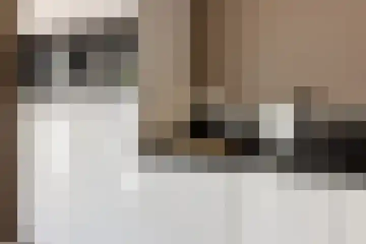 De Ulekamp 29 Joure thumbnail 18