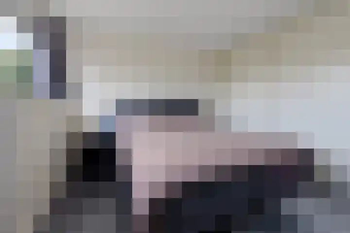 De Ulekamp 29 Joure thumbnail 25