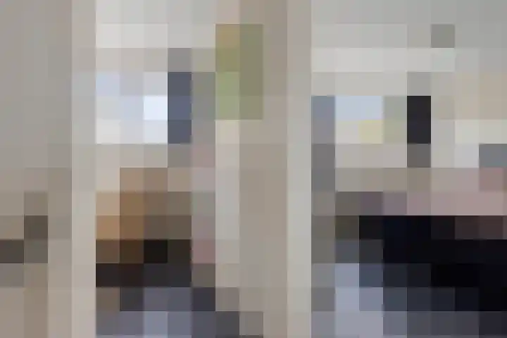 De Ulekamp 29 Joure thumbnail 27