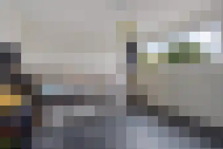 De Ulekamp 29 Joure thumbnail 29
