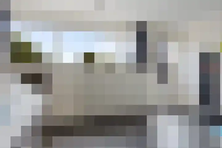 De Ulekamp 29 Joure thumbnail 30