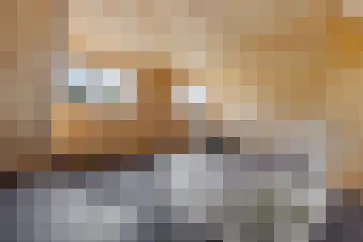 De Ulekamp 29 Joure thumbnail 33