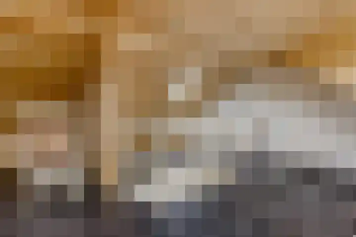 De Ulekamp 29 Joure thumbnail 35
