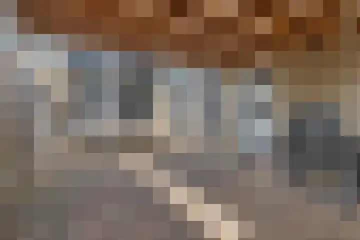De Ulekamp 29 Joure thumbnail 38