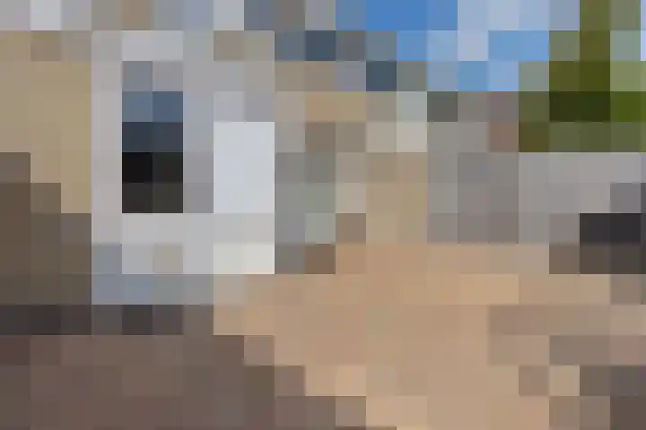 De Ulekamp 29 Joure thumbnail 41