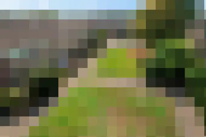 De Ulekamp 29 Joure thumbnail 42