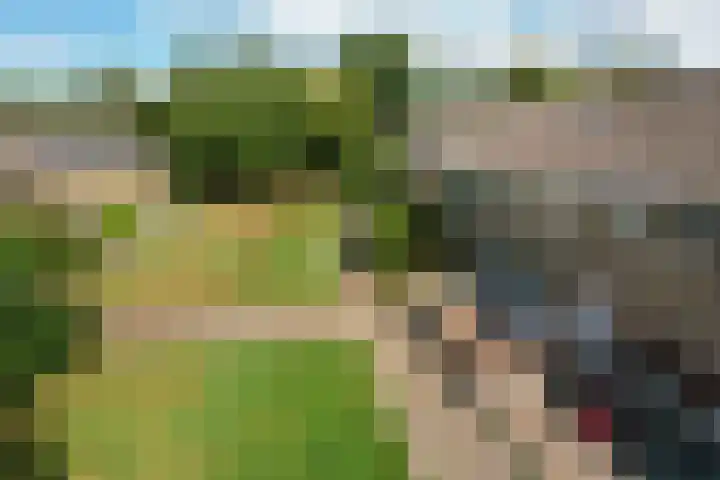 De Ulekamp 29 Joure thumbnail 43