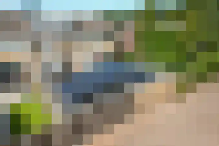 De Ulekamp 29 Joure thumbnail 45