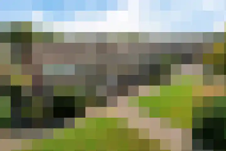 De Ulekamp 29 Joure thumbnail 5