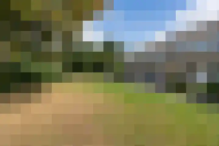 De Ulekamp 29 Joure thumbnail 8