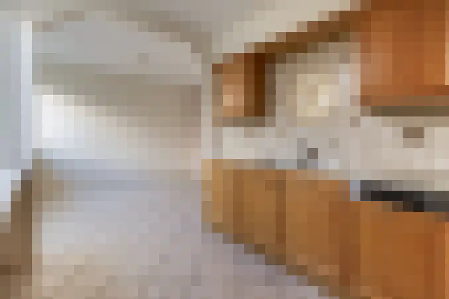 De Ulekamp 42 Joure thumbnail 18