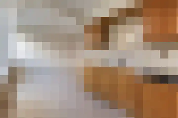 De Ulekamp 42 Joure thumbnail 18