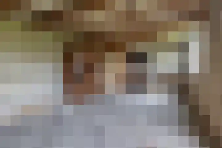 De Ulekamp 42 Joure thumbnail 24
