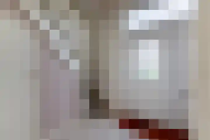 De Ulekamp 42 Joure thumbnail 32