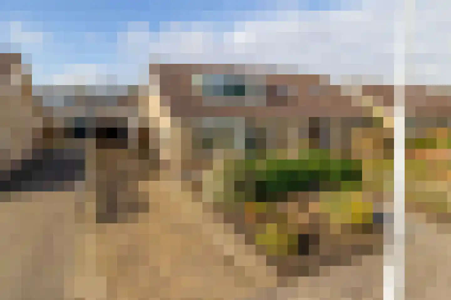 De Ulekamp 42 Joure thumbnail 40