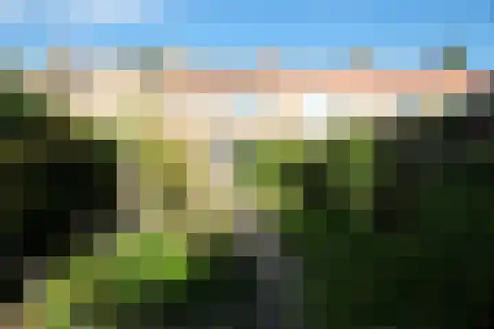 De Uphof 10 Culemborg thumbnail 11