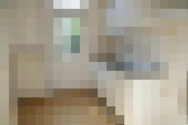 De Uphof 10 Culemborg thumbnail 4