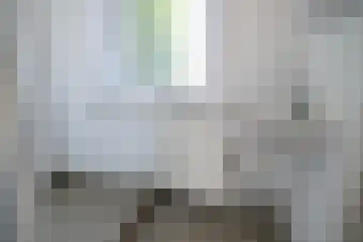 De Uphof 10 Culemborg thumbnail 9
