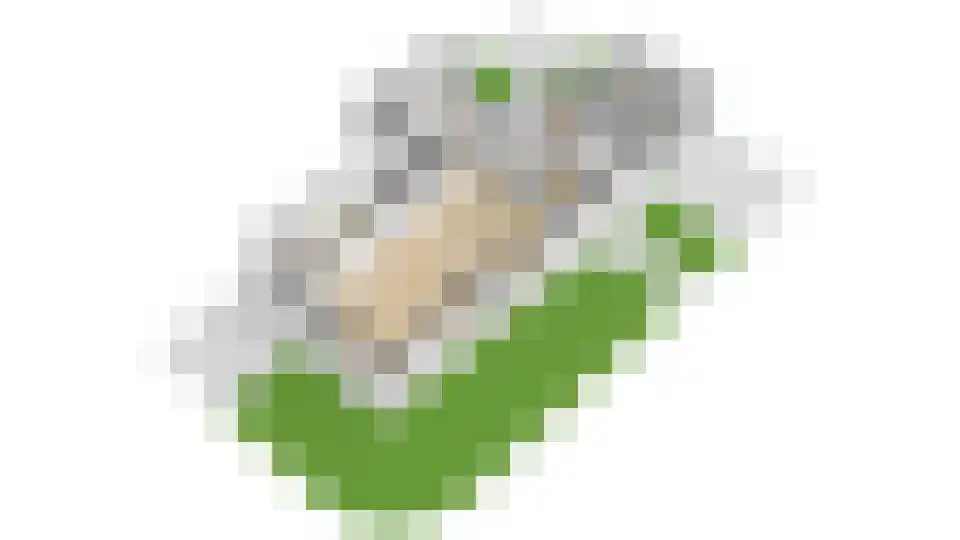 De Uphof 9 Culemborg thumbnail 77