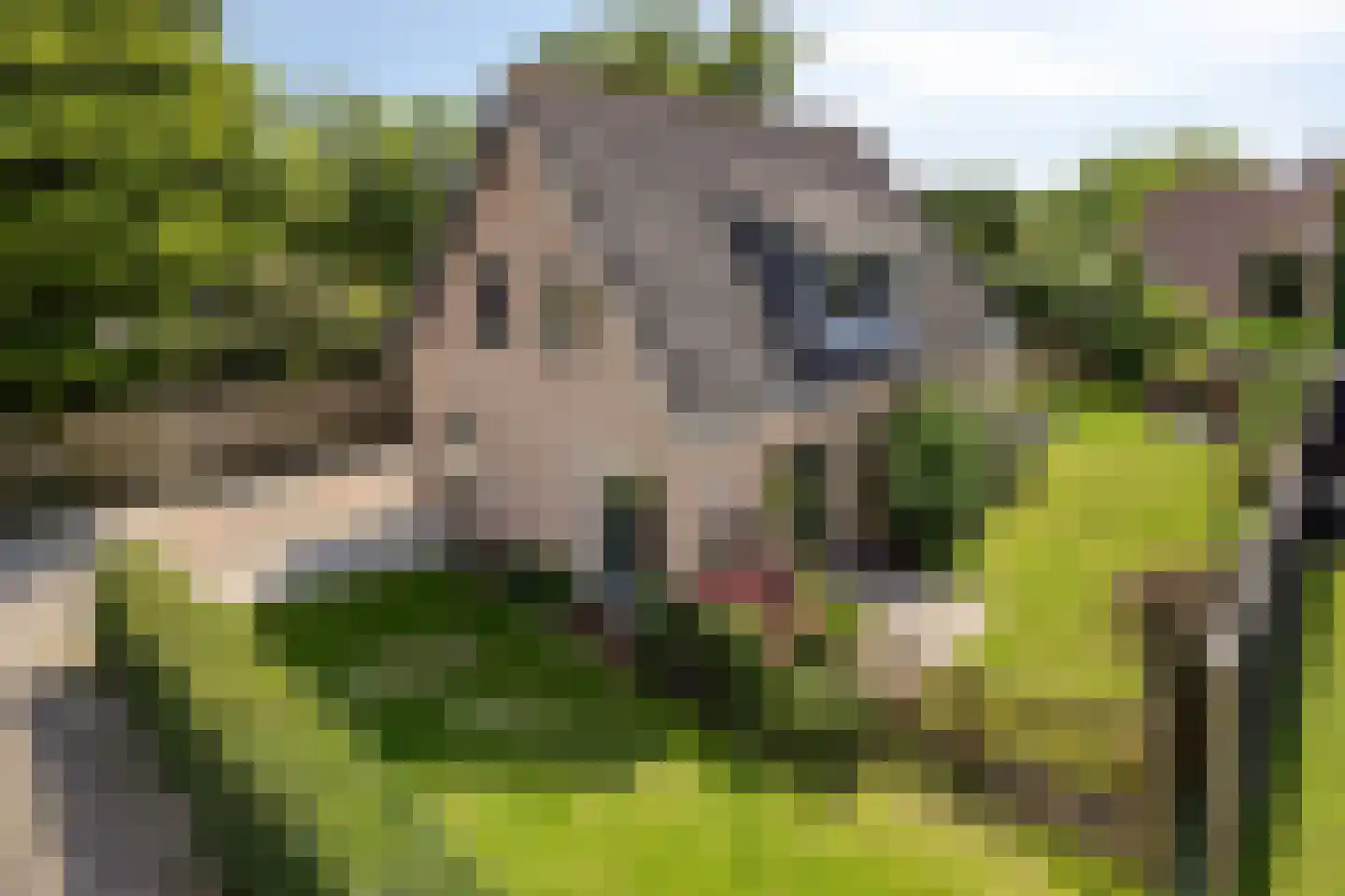 De Vaarboom 16 Elim