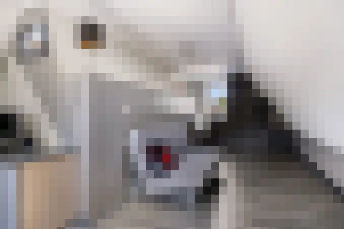 De Vaarboom 16 Elim thumbnail 29