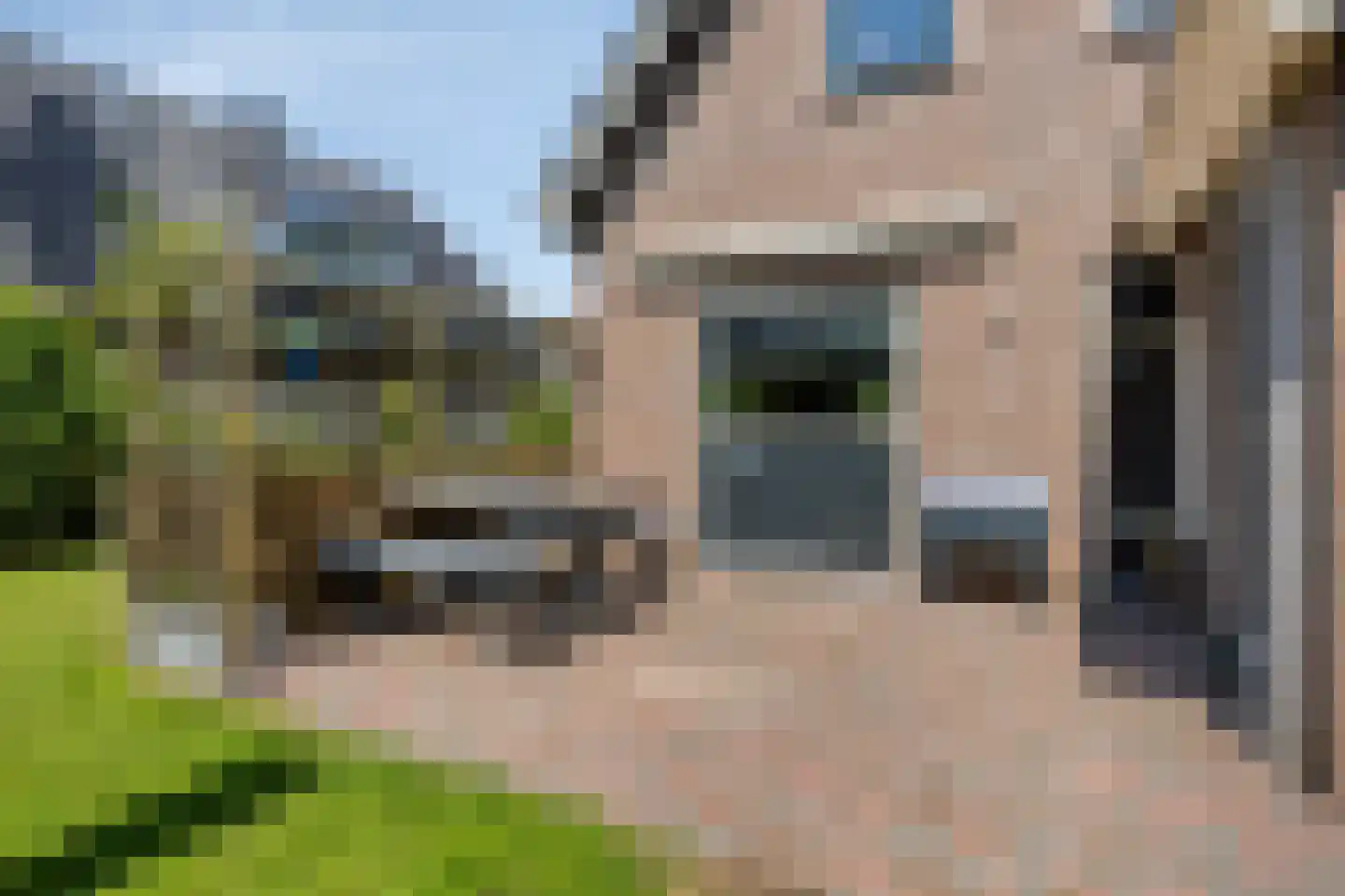 De Vaarboom 16 Elim thumbnail 34