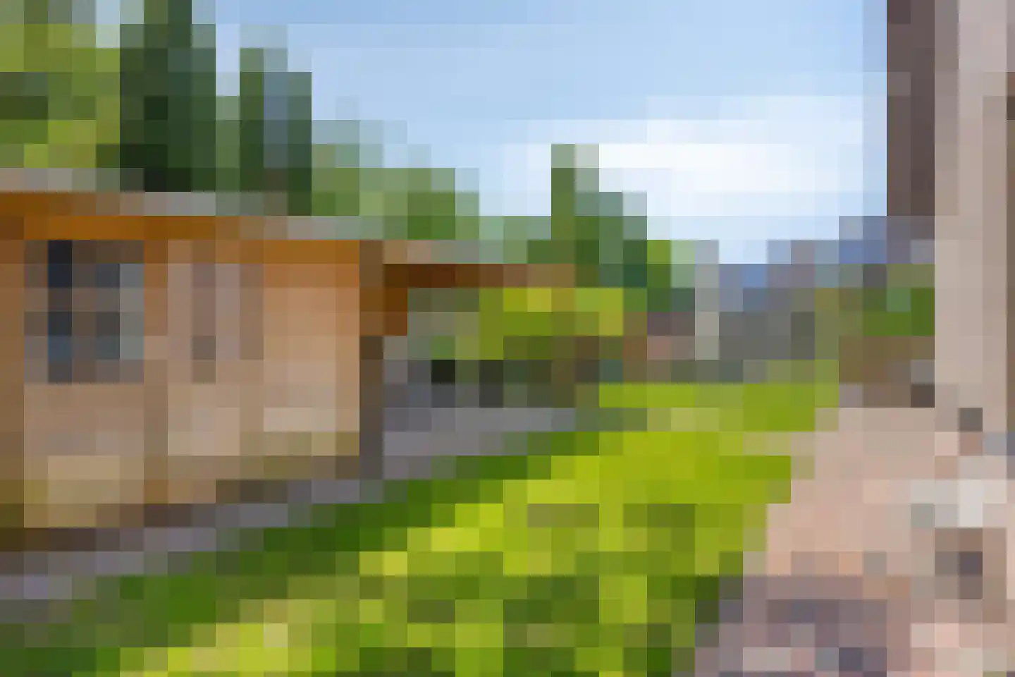 De Vaarboom 16 Elim thumbnail 36
