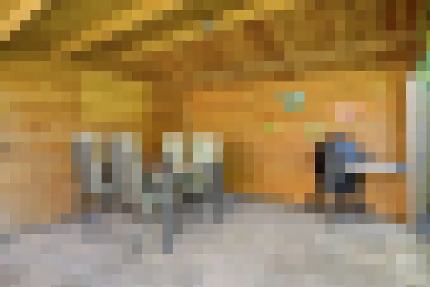 De Vaarboom 16 Elim thumbnail 37