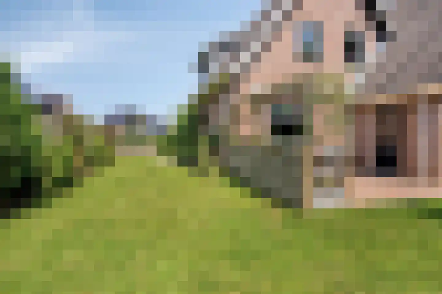 De Vaarboom 16 Elim thumbnail 38