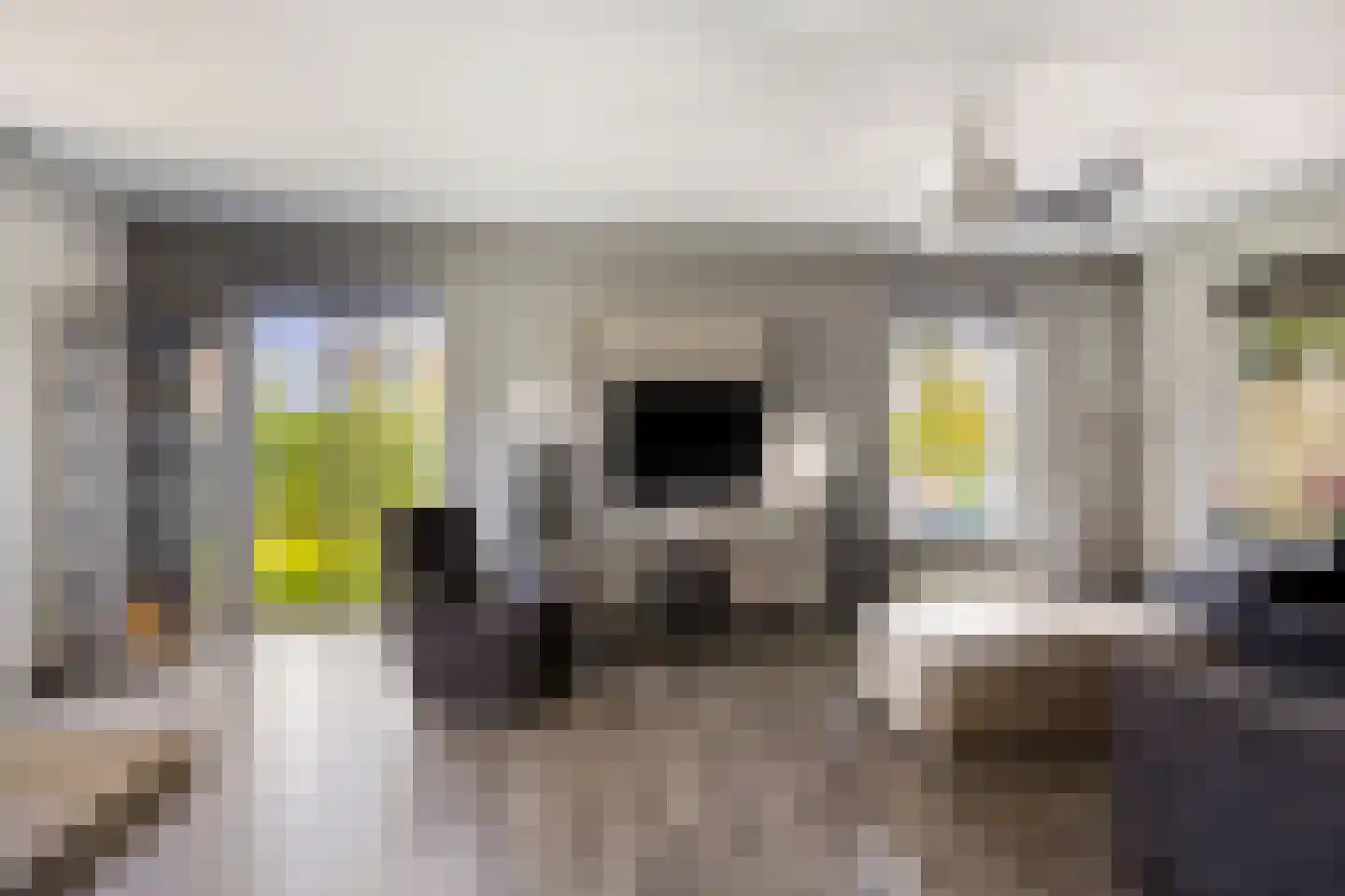 De Vaarboom 16 Elim thumbnail 4