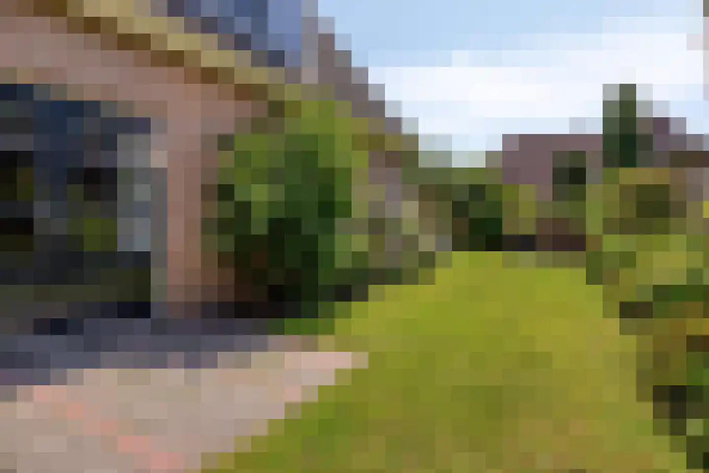 De Vaarboom 16 Elim thumbnail 40