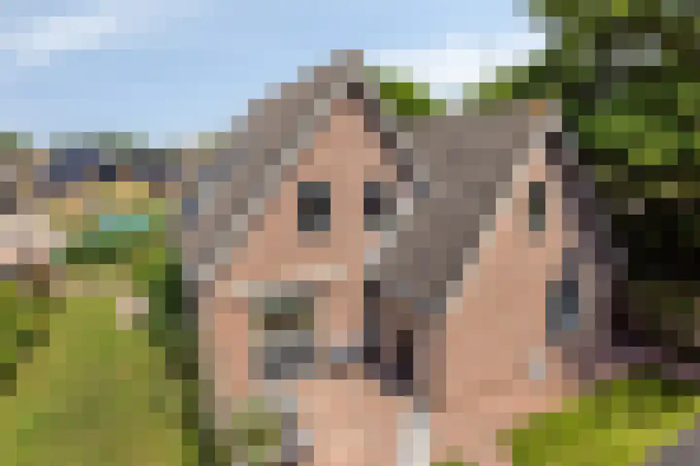 De Vaarboom 16 Elim thumbnail 41