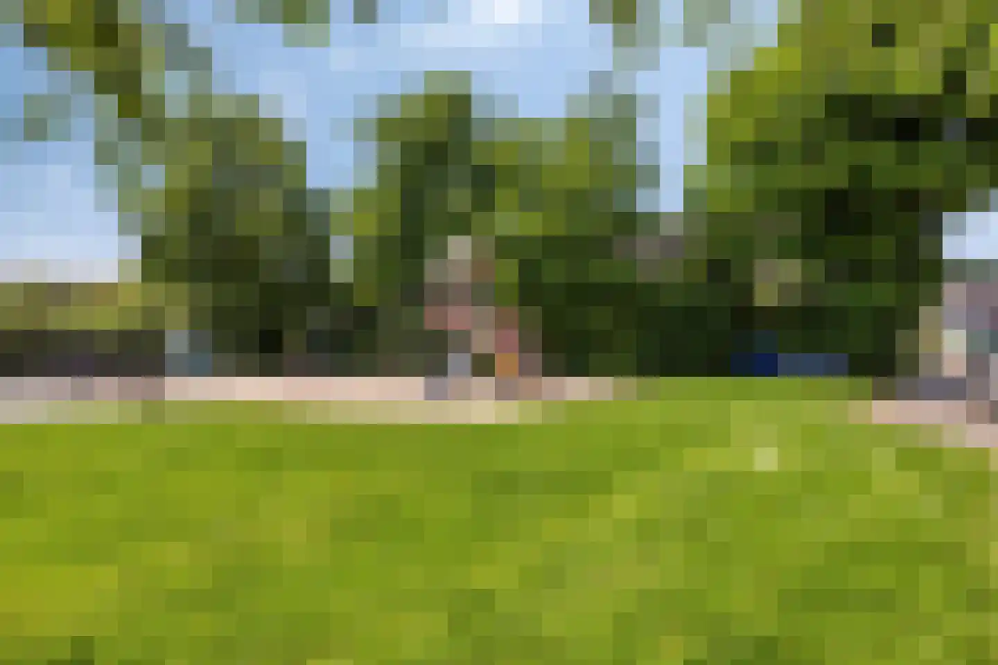 De Vaarboom 16 Elim thumbnail 44