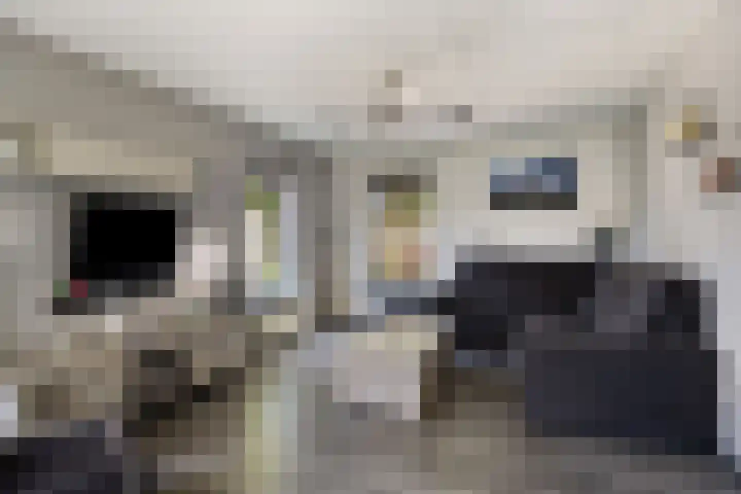De Vaarboom 16 Elim thumbnail 6