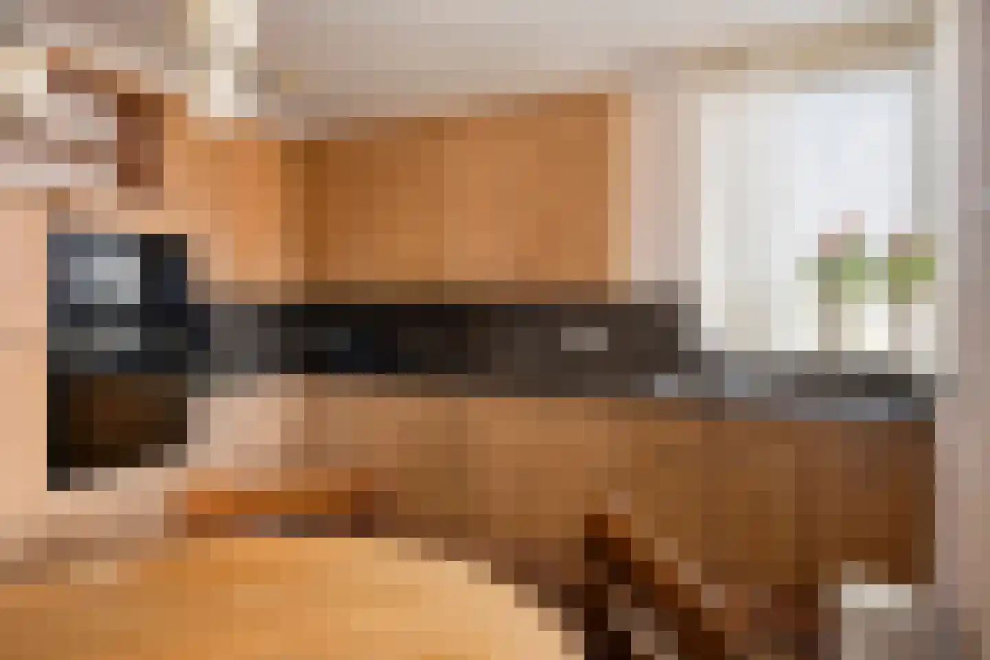 De Vaarboom 20 Elim thumbnail 11