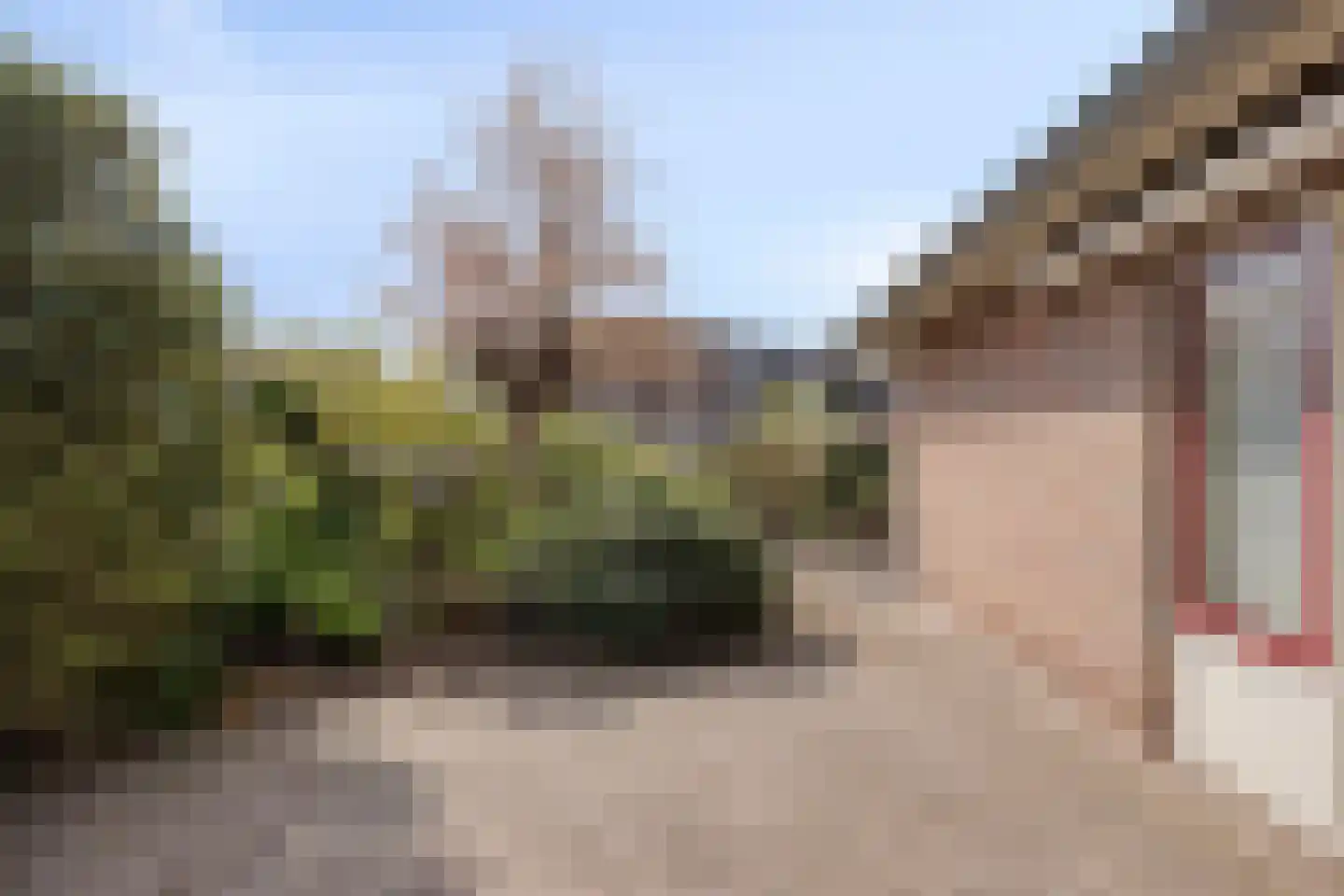 De Vaarboom 20 Elim thumbnail 38