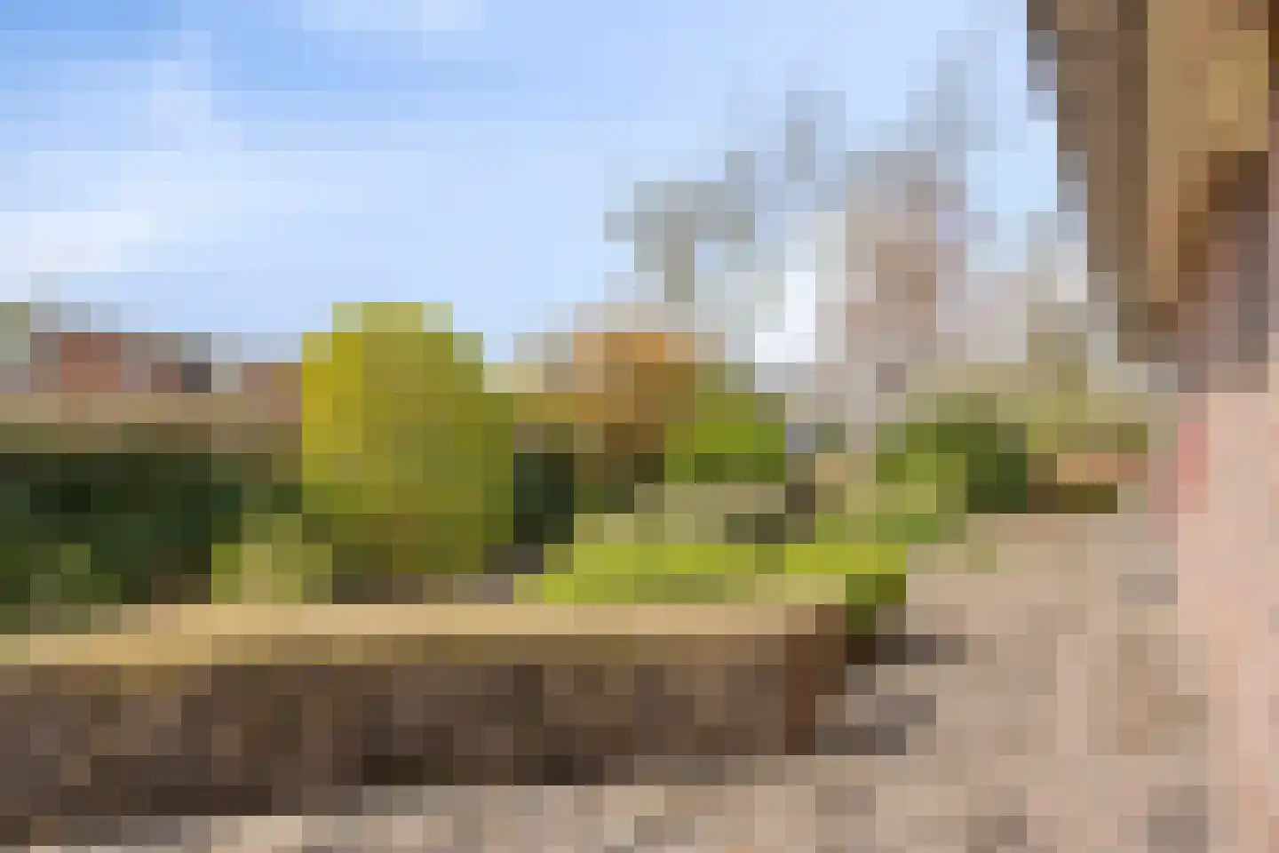 De Vaarboom 20 Elim thumbnail 39