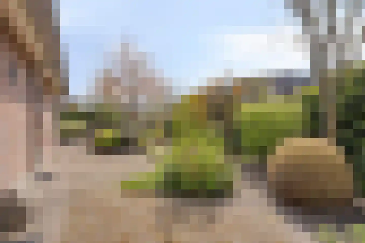 De Vaarboom 20 Elim thumbnail 40