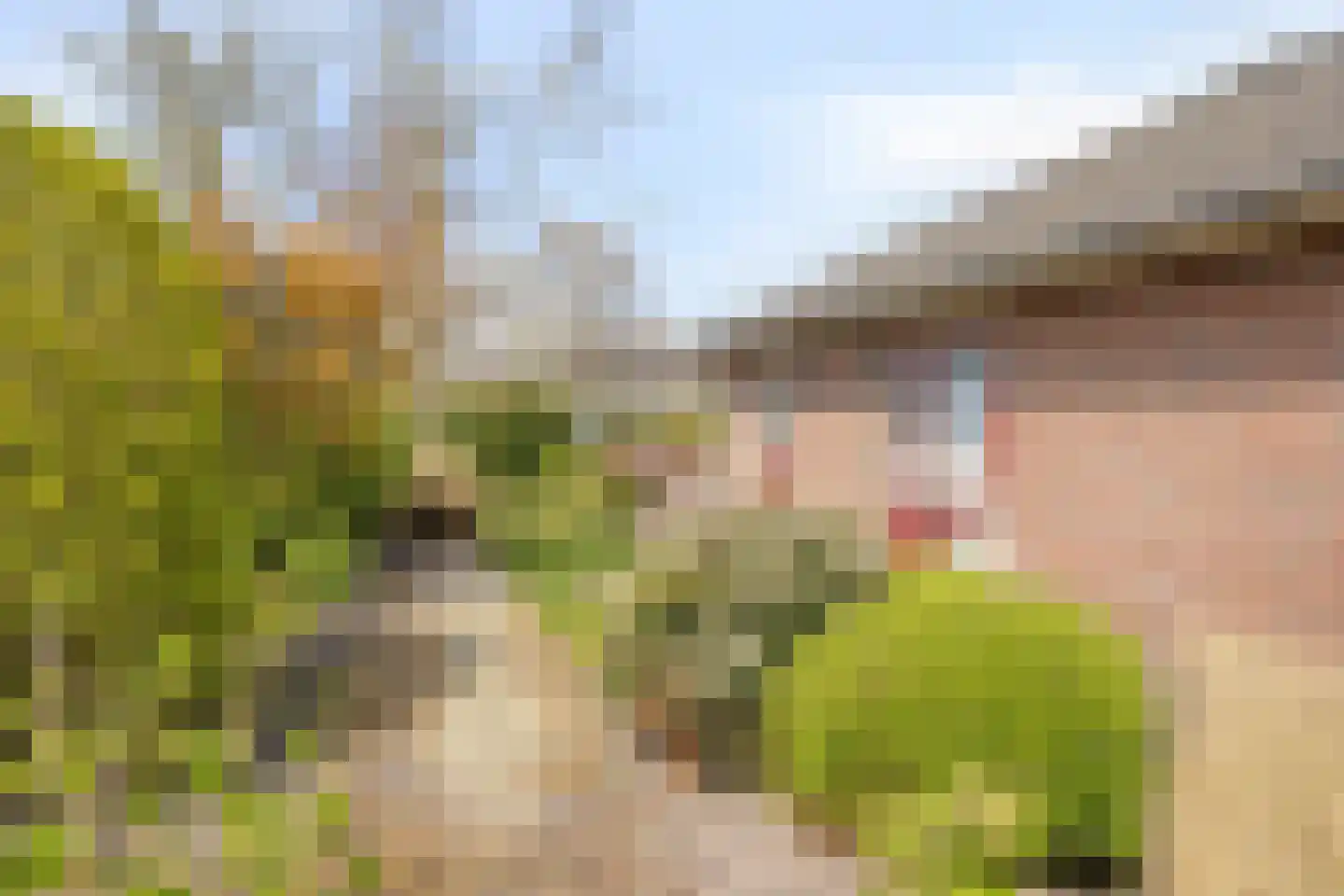 De Vaarboom 20 Elim thumbnail 41