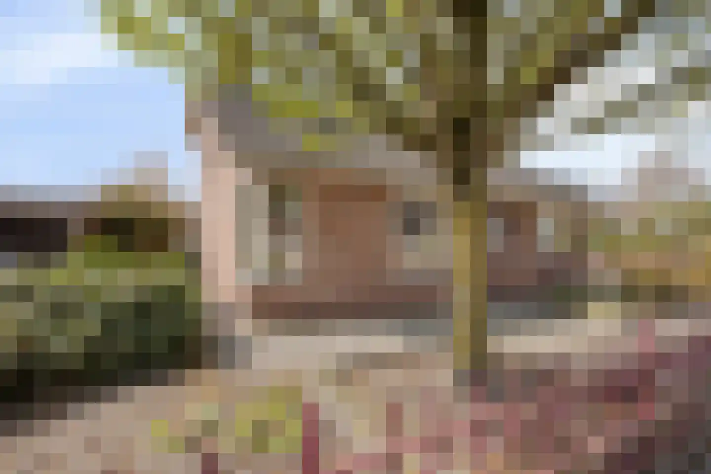 De Vaarboom 20 Elim thumbnail 42