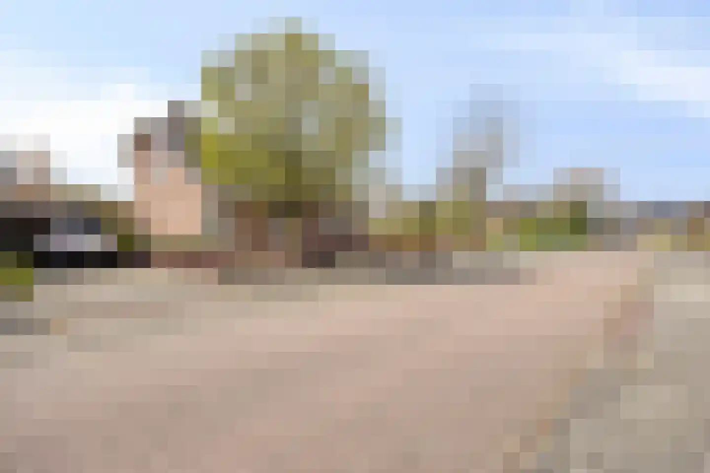 De Vaarboom 20 Elim thumbnail 45