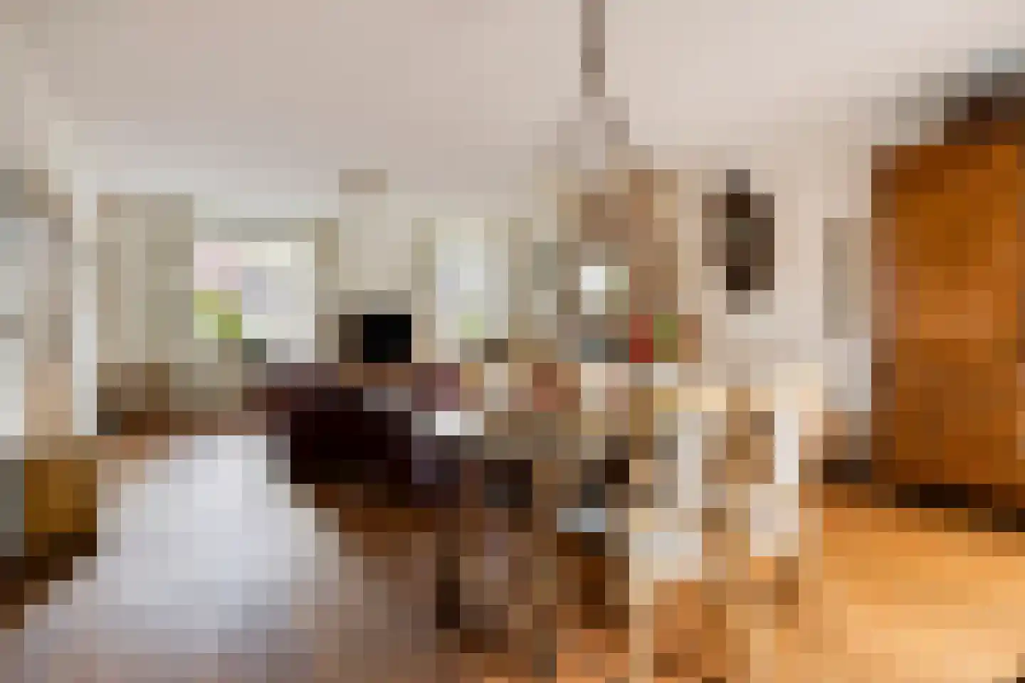 De Vaarboom 20 Elim thumbnail 9